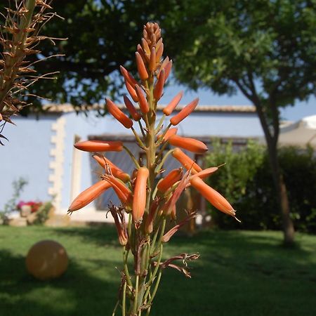 Terre Iblee Resort Chiaramonte Gulfi Exterior photo
