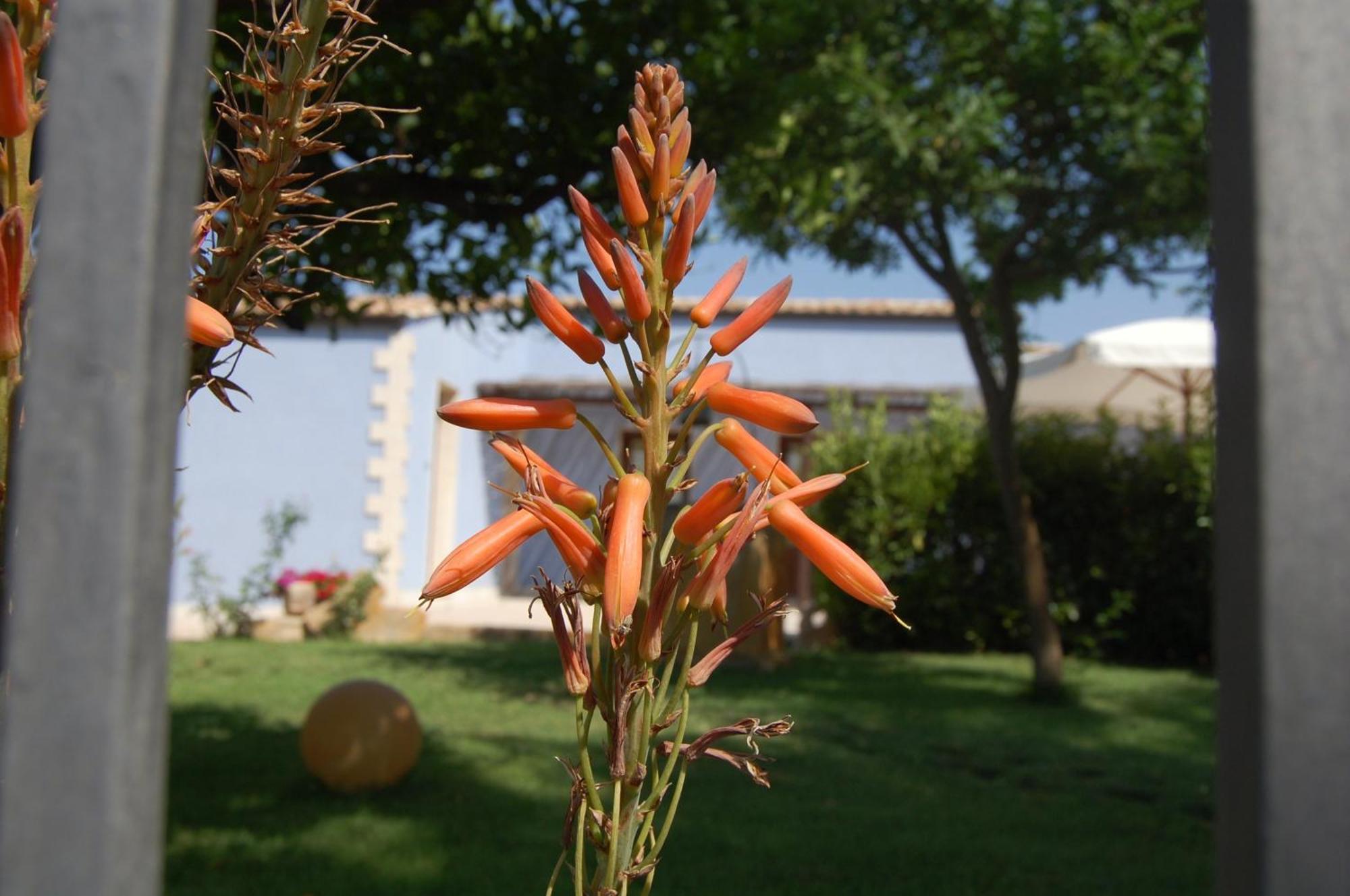 Terre Iblee Resort Chiaramonte Gulfi Exterior photo